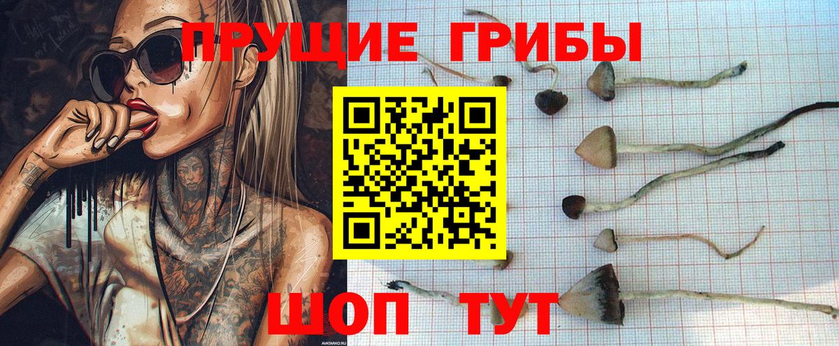Псилоцибиновые грибы ЛСД  Галлюциногенные грибы Cubensis  Вход с VPN  Конаково 